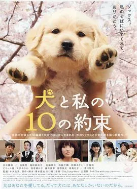 狗狗与我的十个约定 犬と私の10の約束[电影解说]在线观看
