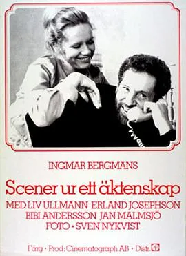 婚姻生活 Scener ur ett äktenskap[电影解说]在线观看