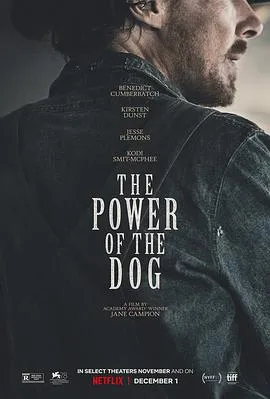 犬之力 The Power of the Dog[电影解说]在线观看