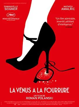 穿裘皮的维纳斯 La Vénus à la fourrure[电影解说]在线观看