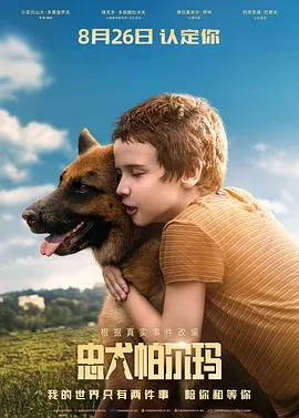 忠犬帕尔玛国语在线观看