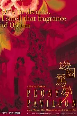 游园惊梦 遊園驚夢[电影解说]在线观看