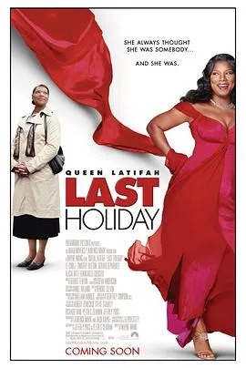 最后的假期 Last Holiday[电影解说]在线观看