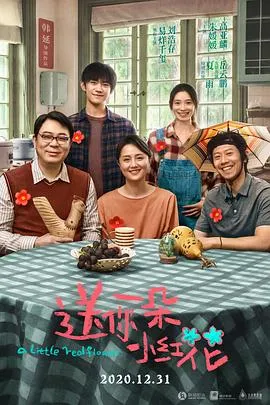 送你一朵小红花[电影解说]在线观看