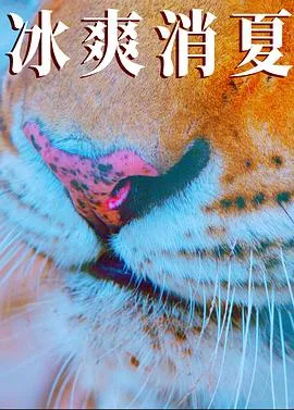 寒冰白血在线观看