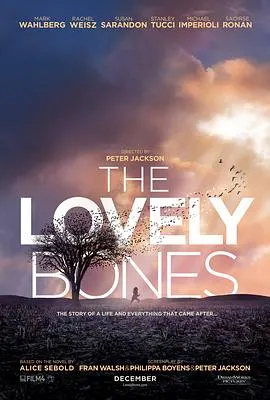 可爱的骨头 The Lovely Bones[电影解说]在线观看