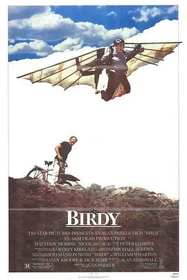 鸟人 Birdy[电影解说]在线观看
