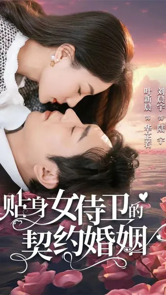 贴身女侍卫的契约婚姻在线观看