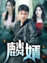 麟婿在线观看