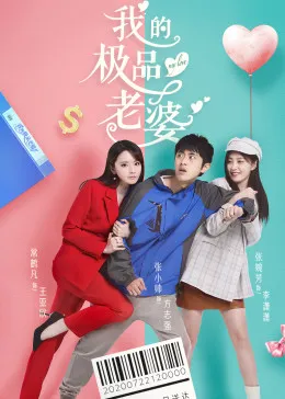 我的极品老婆第一季在线观看