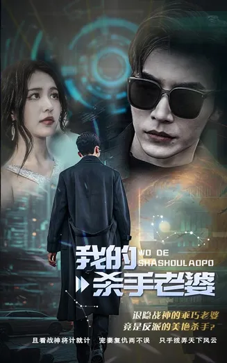 我的杀手老婆在线观看