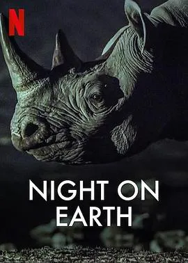 地球的夜晚在线观看