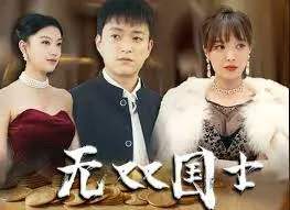 无双国士在线观看
