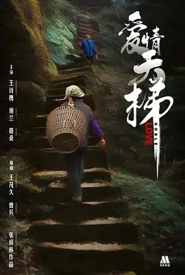 爱情天梯[电影解说]在线观看