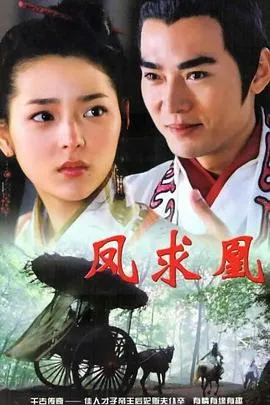 凤求凰2005在线观看