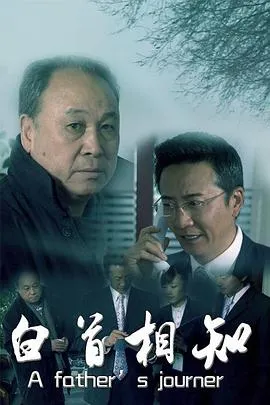白首相知在线观看