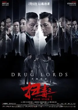 扫毒2：天地对决[电影解说]在线观看