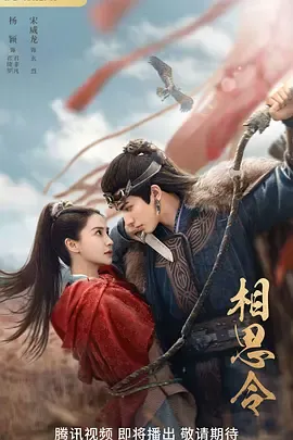 相思令在线观看