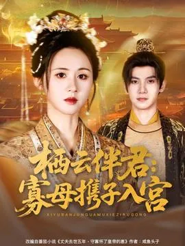 栖云伴君寡母携子入宫在线观看