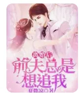 离婚后前夫总是想追我在线观看