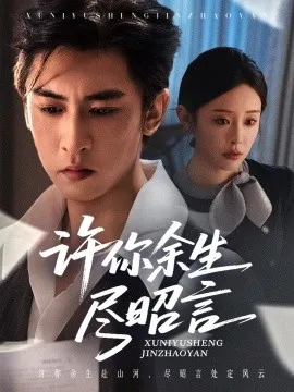 许你余生尽昭言在线观看