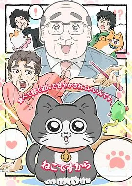 转生成猫的大叔在线观看