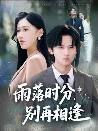 雨落时分别再相逢在线观看