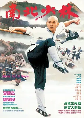 南北少林[电影解说]在线观看
