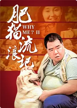 肥猫流浪记[电影解说]在线观看