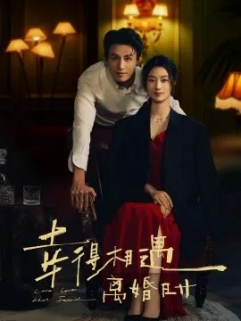 幸得相遇离婚时在线观看