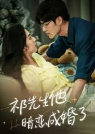 祁教授，借个婚在线观看