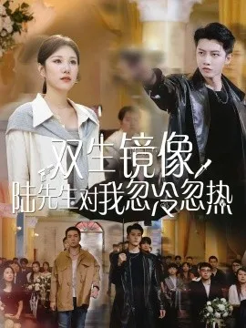 双生镜像陆先生对我忽冷忽热在线观看