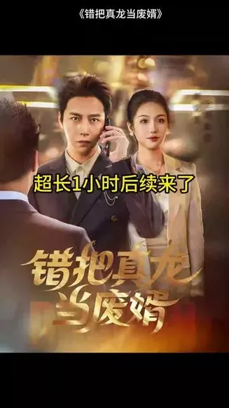 错把真龙当赘婿在线观看