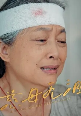 慈母无泪在线观看