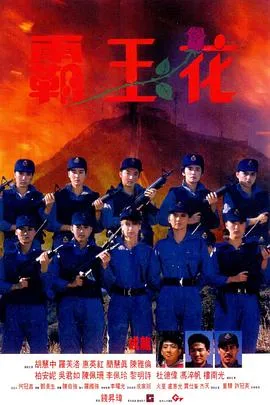 霸王花[电影解说]封面