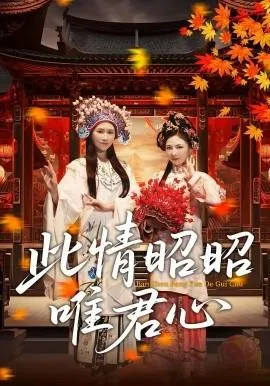 此情昭昭唯君心在线观看
