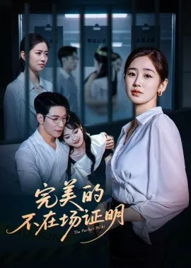完美的不在场证明在线观看