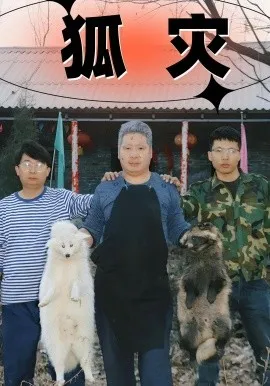 狐灾在线观看