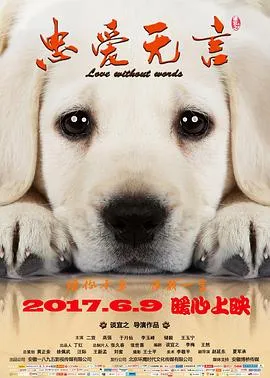 忠爱无言[电影解说]
