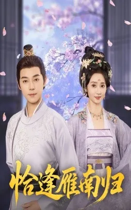 恰逢雁南归在线观看