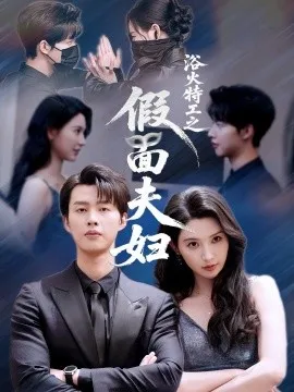 浴火特工之假面夫妇在线观看