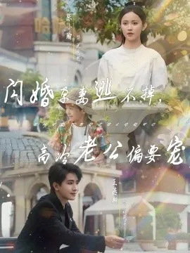 闪婚孕妻逃不掉，高冷老公偏要宠在线观看