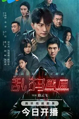 乱码迷局在线观看