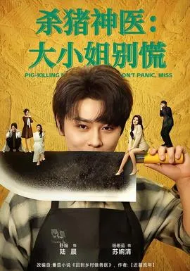 杀猪神医，大小姐别慌在线观看
