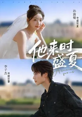 他来时盛夏在线观看