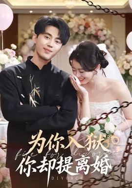 为你入狱，你却提离婚在线观看
