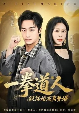 一拳道人，假结婚成真赘婿在线观看
