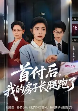 首付后，我的房子长腿跑了在线观看