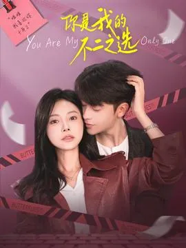 你是我的不二之选在线观看