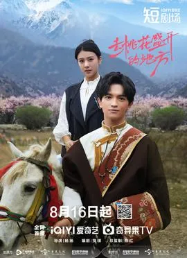 去桃花盛开的地方在线观看